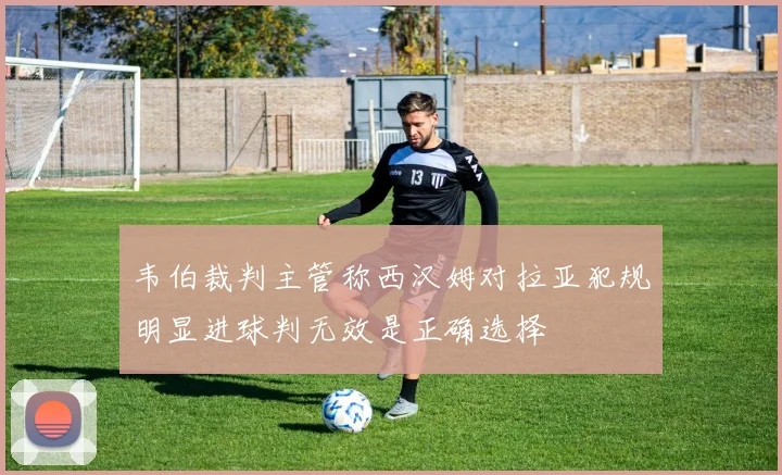 韦伯裁判主管称西汉姆对拉亚犯规明显进球判无效是正确选择
