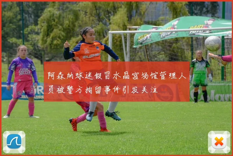 阿森纳球迷假冒水晶宫场馆管理人员被警方拘留事件引发关注